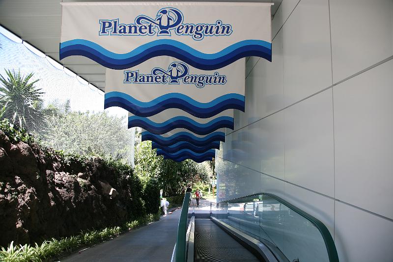 Pinguin - Co01.jpg